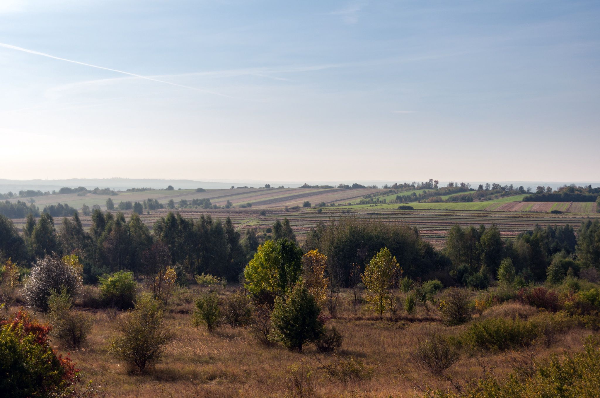 Jura Krakowsko-Częstochowska