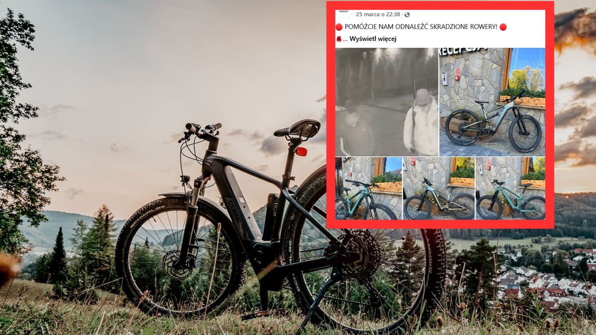 Właściciele wypożyczalni apelują o pomoc