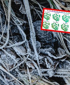 Najbliższe dni zaskoczą. W tych rejonach mogą pojawić się przymrozki