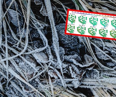 Najbliższe dni zaskoczą. W tych rejonach mogą pojawić się przymrozki