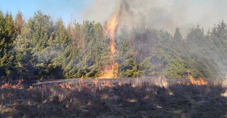 Podłożył ogień i zadzwonił na 112. 46-latek w rękach policji
