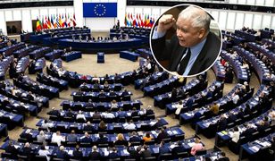 PiS straszył tym głosowaniem od tygodni. "Intelektualny rozgardiasz"