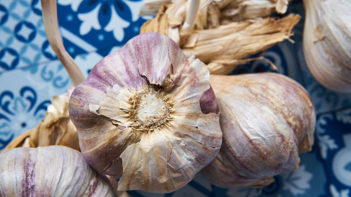 Jakość czosnku może być bardzo niska