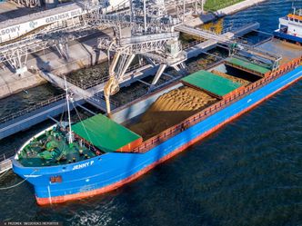 Handel zbożem stoi. Ceny nurkują. "Rolnicy czekają na konkrety"