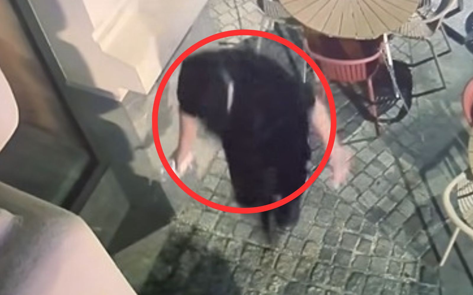 Mężczyzna zatrzymany za rozlanie kwasu w okalu