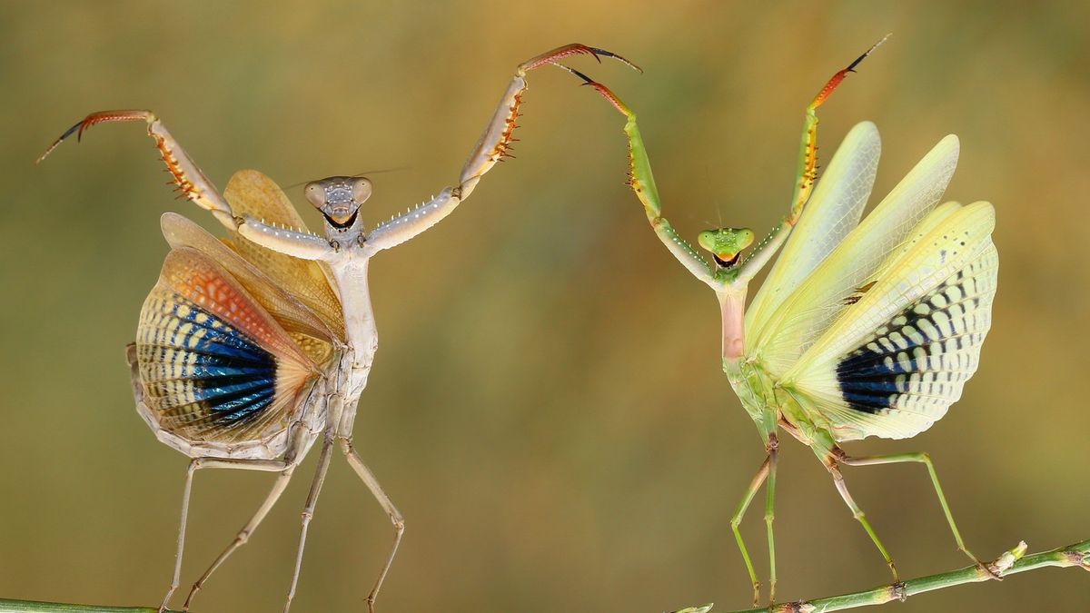 Najlepsze zgłoszenia z National Geographic Photo Contest 2014 1