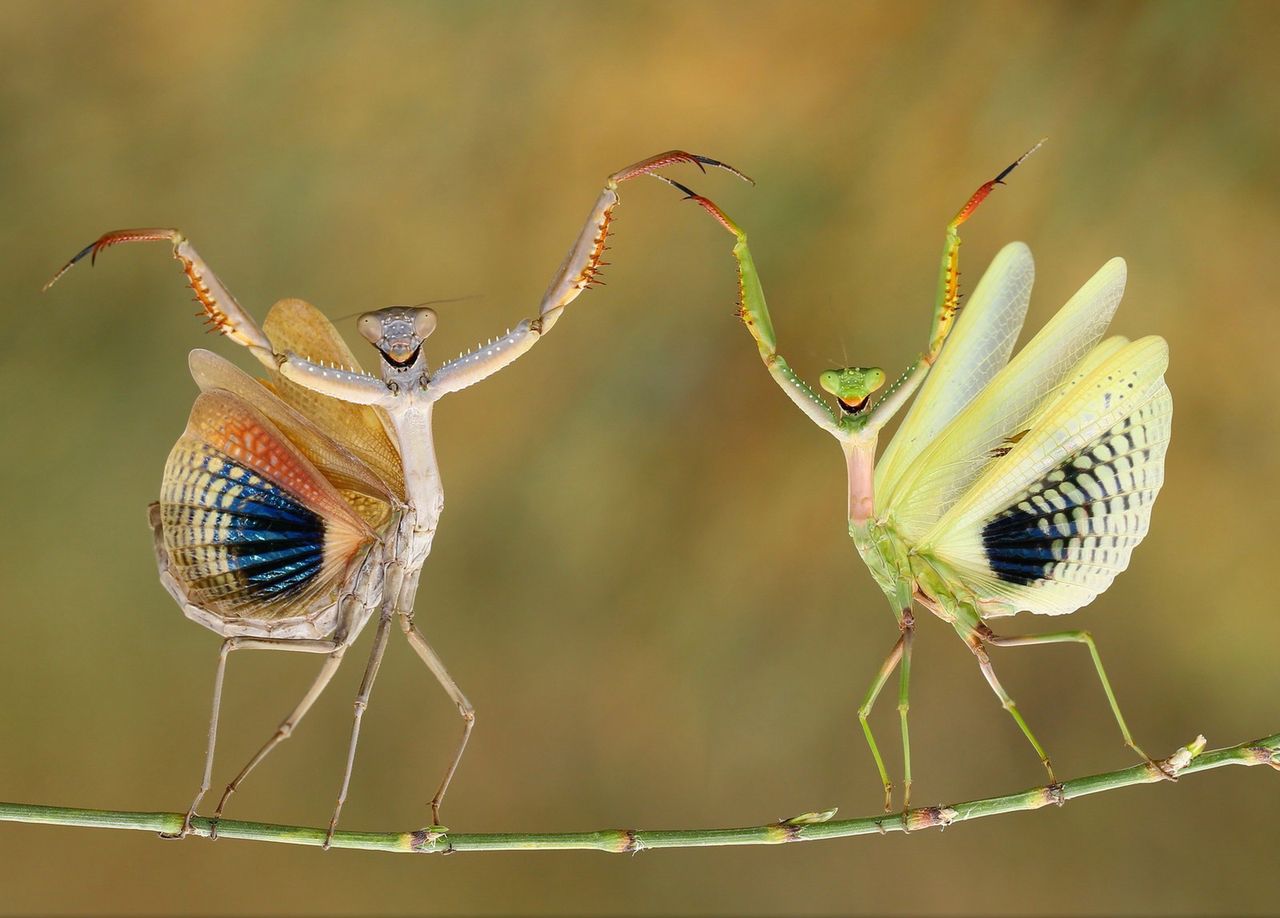 Najlepsze zgłoszenia z National Geographic Photo Contest 2014