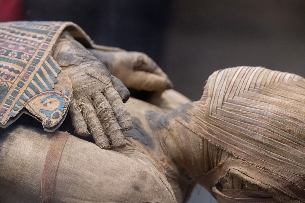 Niezwykłe odkrycie w Egipcie. Archeolodzy weszli do grobowca sprzed co najmniej 3,5 tys. lat