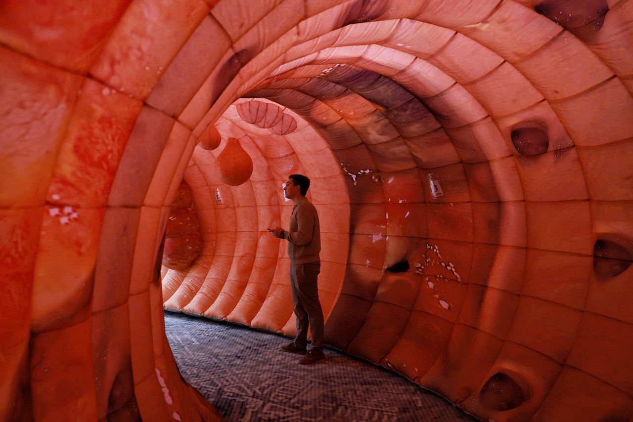 Poznań: To jelito ma 13 metrów i jednego dnia odwiedziło je pięć tysięcy osób