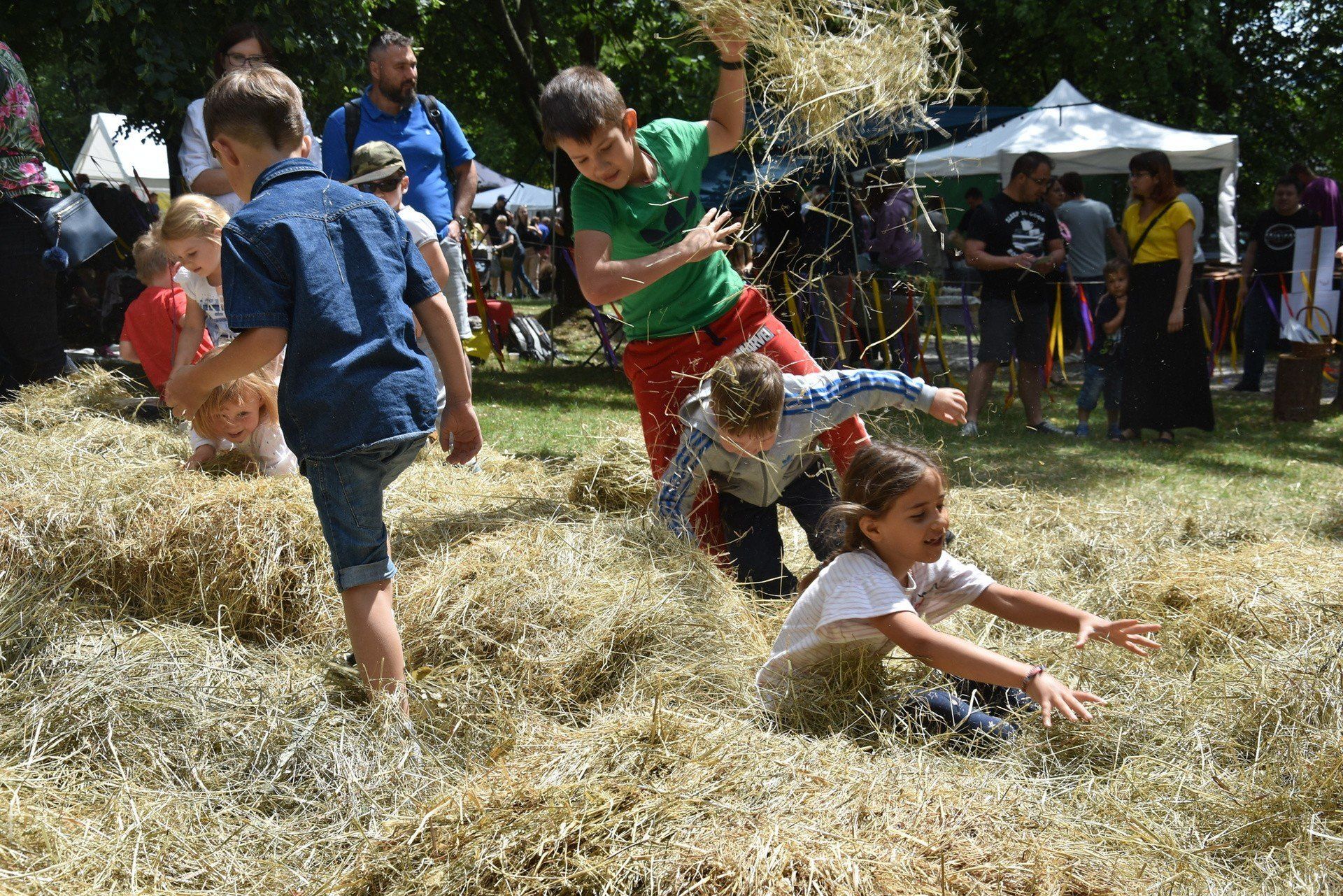 Festiwal Etnomania