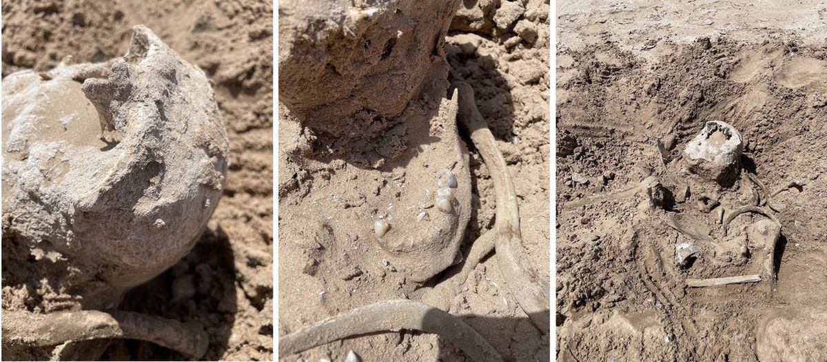 Ludzkie szczątki znalezione na brzegu jeziora Mead w stanie Nevada 