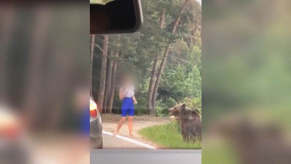 Nagranie turystki próbującej zrobić selfie z niedźwiedziem. TikTok/@alessandrobacaoanu
