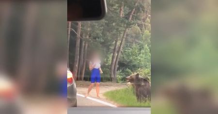 Chciała selfie z misiem. Niedźwiedź zaatakował turystkę