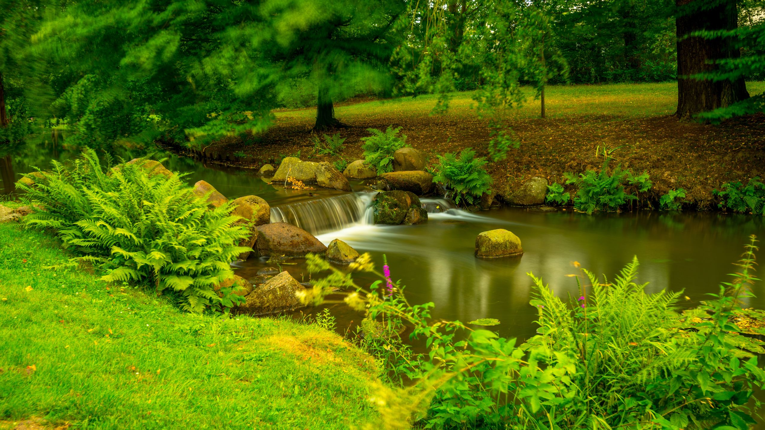 Park Mużakowski zachwyca wyjątkową roślinnością