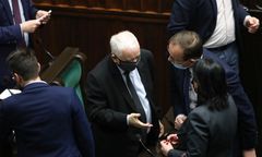PiS w dużych tarapatach? Jest nowy sondaż