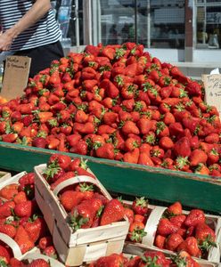Tyle kosztują truskawki. Według ekspertów cena w maju powinna być inna