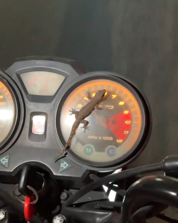 Daria Zawiałow pokazała fotorelację z wyjazdu