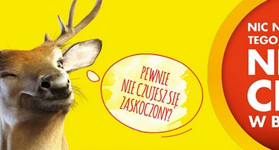 Roztańczony jeleń za kierownicą reklamuje Biedronkę (wideo)