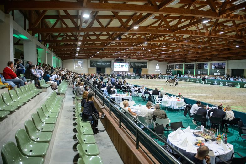 "Ustawka" podczas licytacji w Janowie? Teraz już nawet dwa nagie konie nie pomogą [FELIETON]