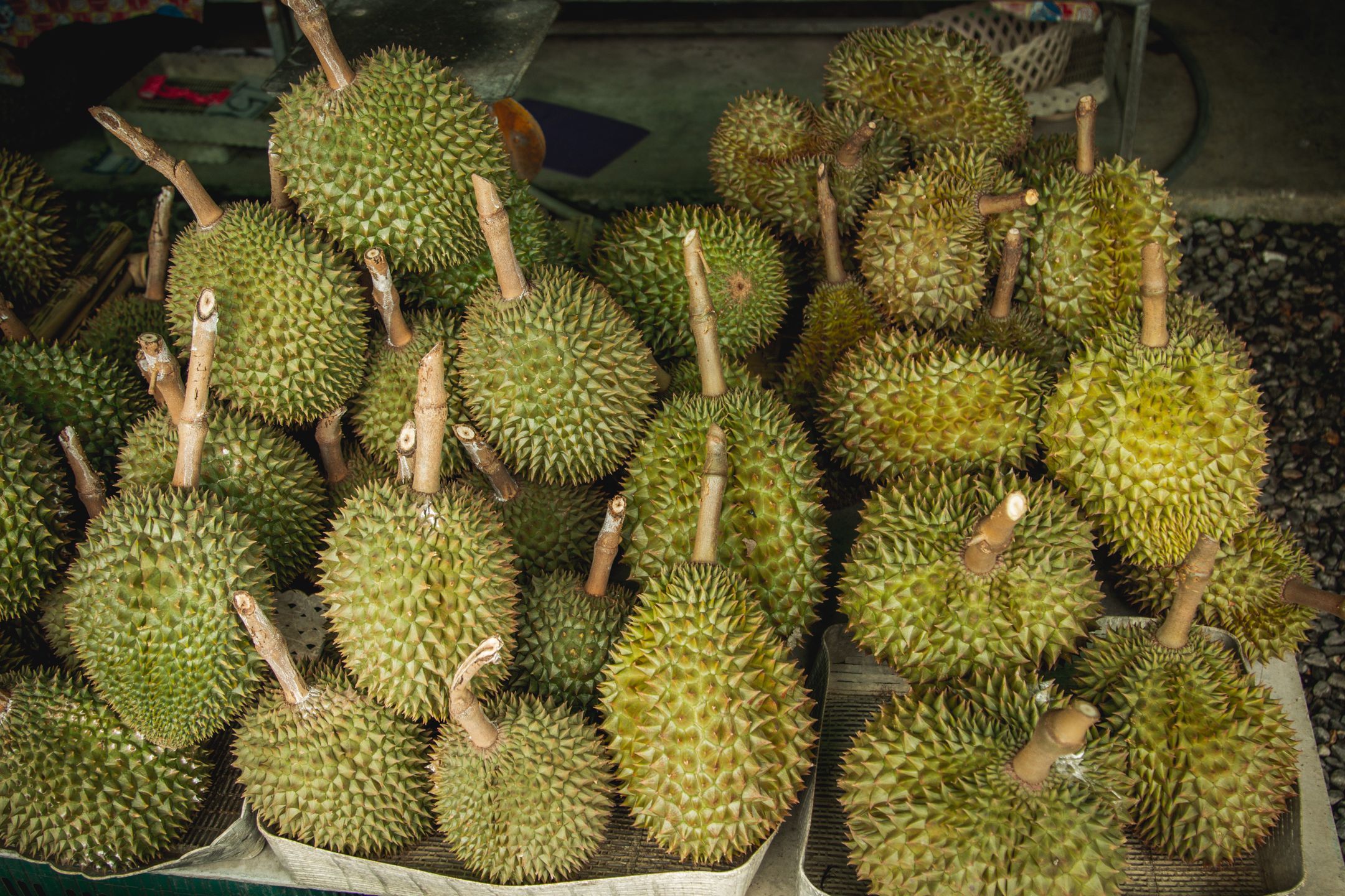 Durian