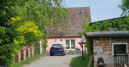 Dramat w Widzinie. Przypalali dzieci papierosami, dawali im alkohol na sen