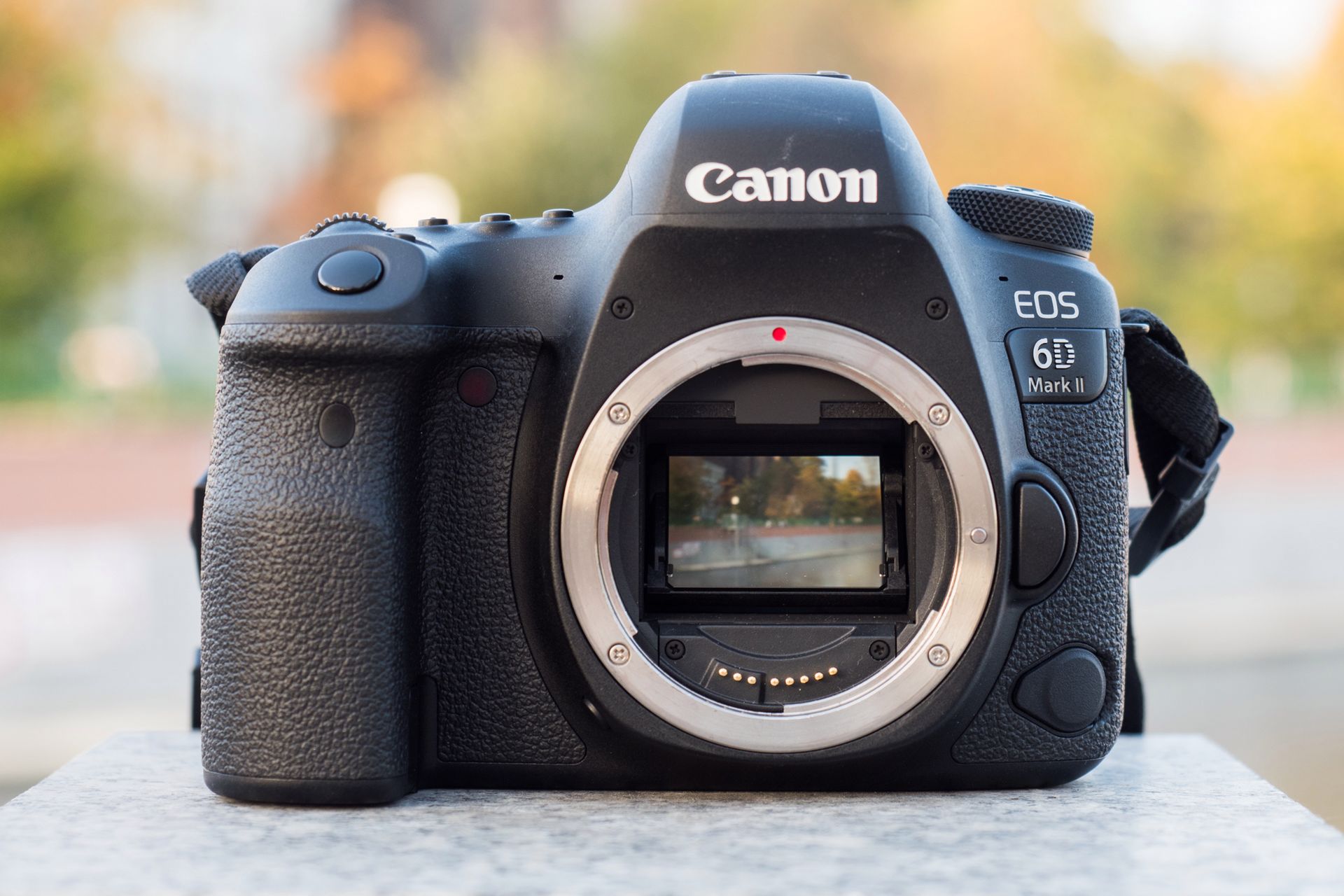 Canon EOS 6D Mark II - test następcy popopularnej pełnoklatkowej lustrzanki 2