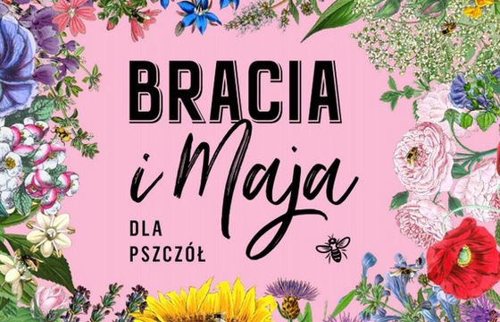 Marka Bracia Sadownicy zasadzi łąkę kwitną dla pszczół