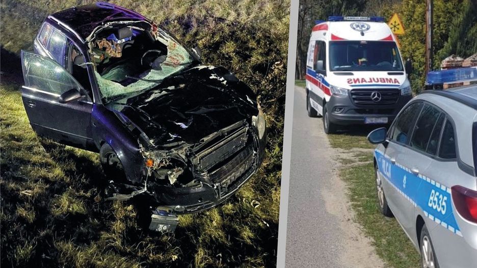 Wypadek na DK16. Zderzenie dwóch samochodów z łosiem