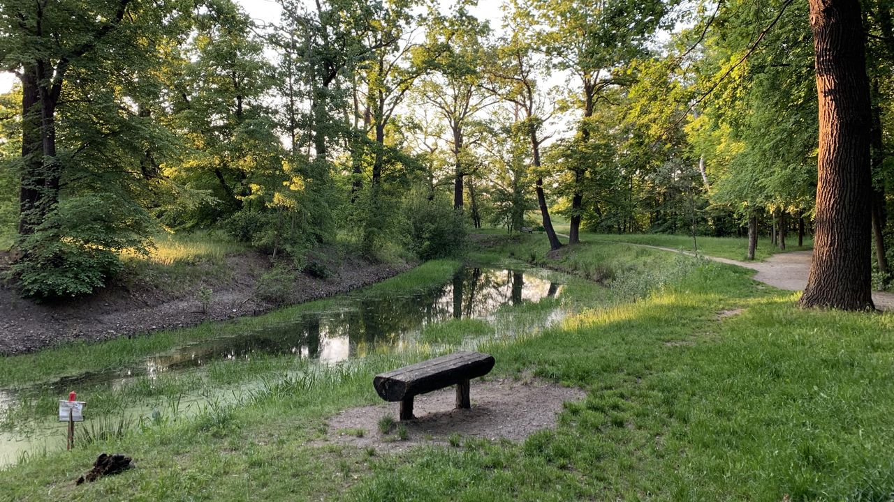 Wrocław. Pogoda. 6 lipca - ciepło, ale nie upalnie. Deszcz na horyzoncie