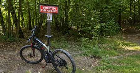 E-bike to nie rower "na łatwiznę". Od miejskich tras po wymagające singletracki