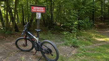 E-bike to nie rower "na łatwiznę". Od miejskich tras po wymagające singletracki