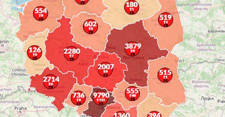 Koronawirus w Polsce. Mapa pokazuje wzrost zachorowań. Na świecie już 7 milionów zakażeń