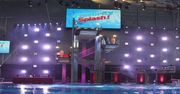 "Celebrity Splash!": Nie wszystkie skoki kończą się happy endem [wideo]