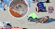 Przykre, co zastał na plaży w Ustce. Pokazał wymowne zdjęcie