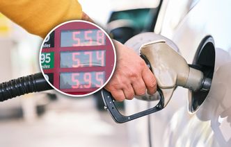 Zmiany cen po majówce. Najnowsza prognoza