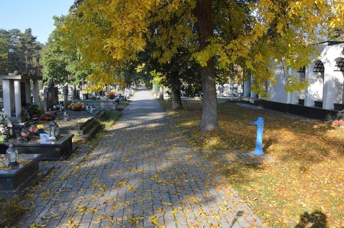 Tak wyglądał poprzedni remont i modernizacja alejek na cmentarzu komunalnym, teraz będzie podobnie