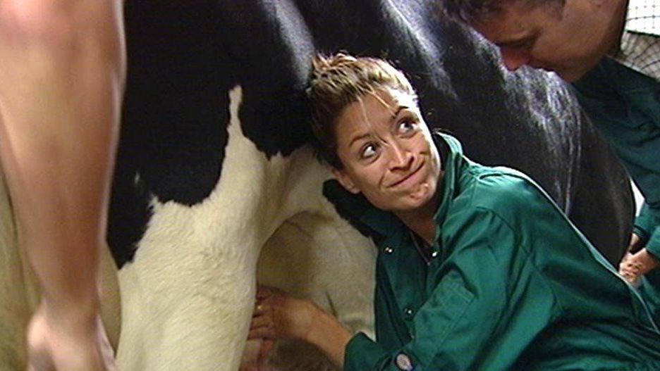 "The Farm" ma pojawić się w Polsce jako show "Życie na wsi"