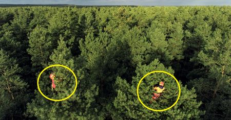 Leśnicy pokazali zdjęcia. Tłumaczą, co dzieje się w lasach