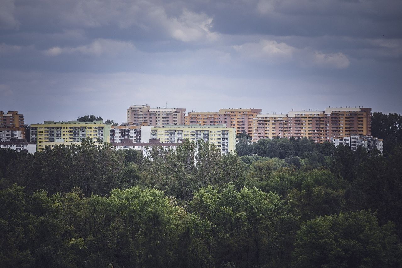 Tam w województwie śląskim żyje się najlepiej. TOP 11 miast według rankingu jakości życia PZU Lokalnie. Będziecie zaskoczeni