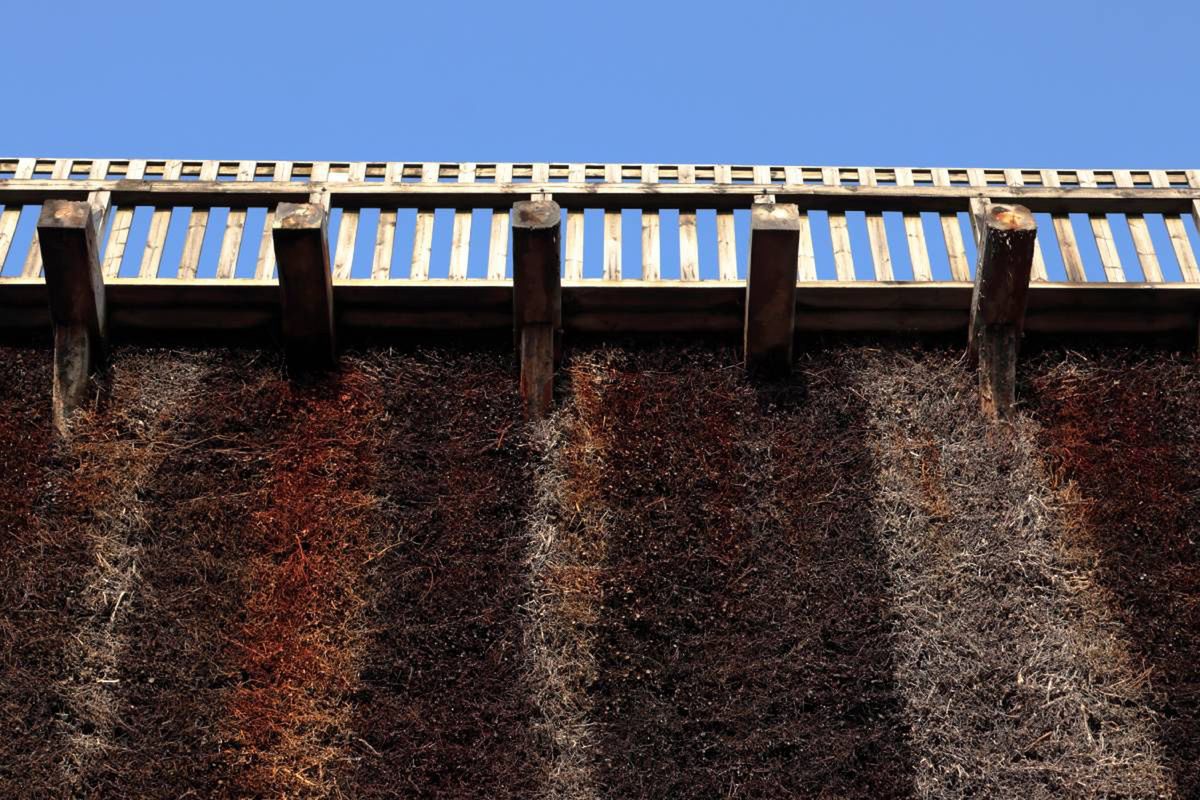 Tężnie solankowe kuszą relaksem, ale mogą szkodzić