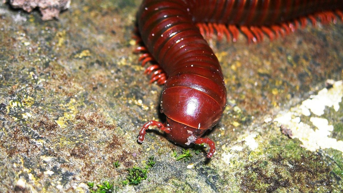 Windows 10 i najciekawsze luki marca 2020 (fot. Pixabay)