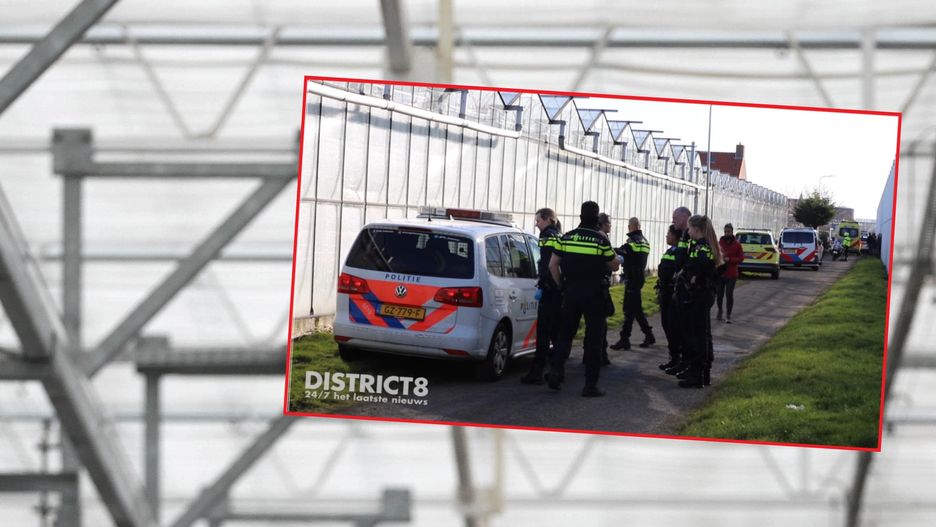 Dramat w Holandii. 22-letnia Polka zadźgała swojego partnera 