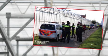 Dramat w Holandii. 22-letnia Polka zadźgała swojego partnera