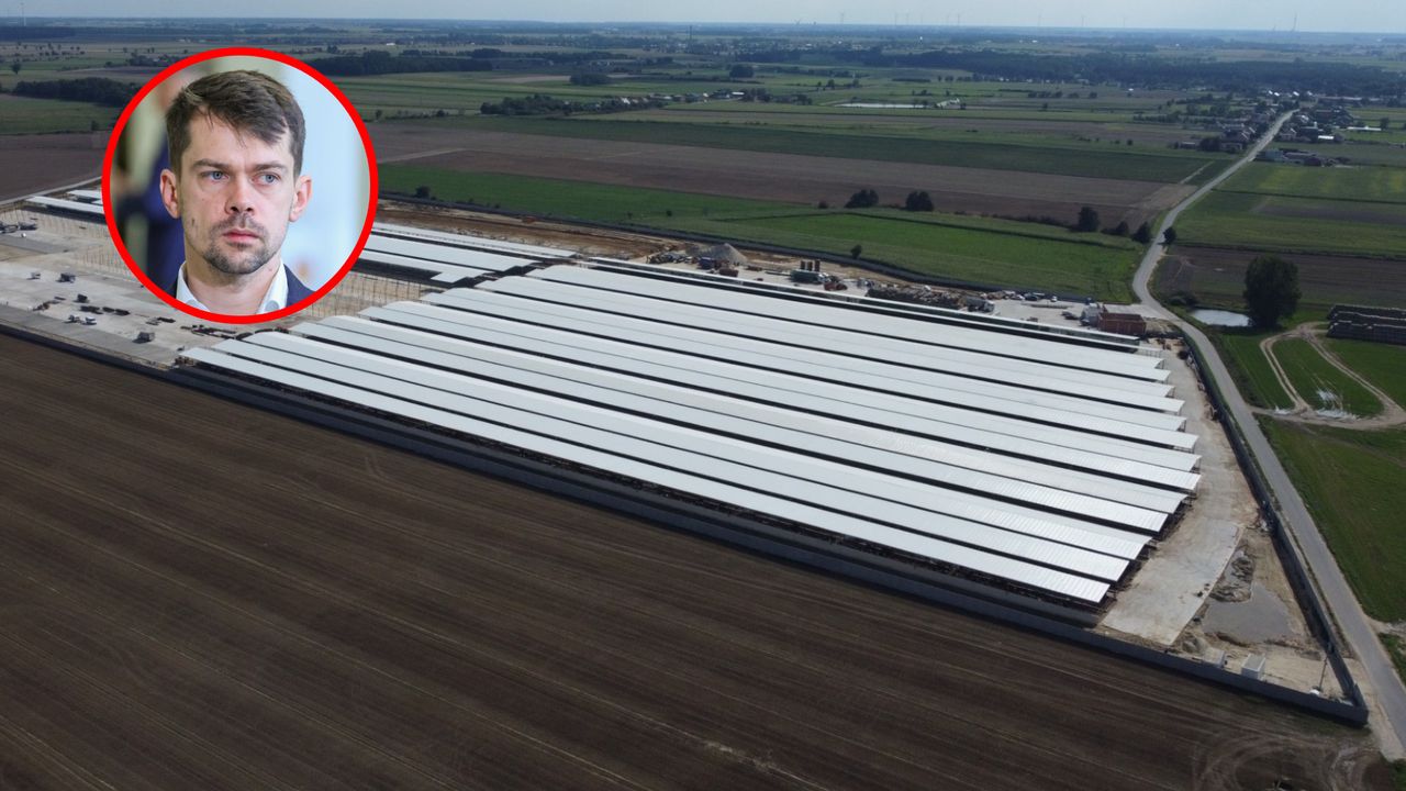 Kontrowersje ws. biznesu brata najbogatszego Polaka. Kołodziejczak reaguje