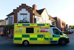 Tragedia w Walii. Dziewięciomiesięczne dziecko zaatakowane przez psa