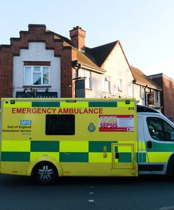 Tragedia w Walii. Dziewięciomiesięczne dziecko zaatakowane przez psa