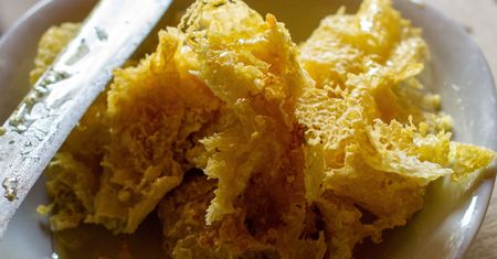 Wyglądają jak śmieci z ula. Można je żuć jak zdrową gumę zamiast brać pastylki