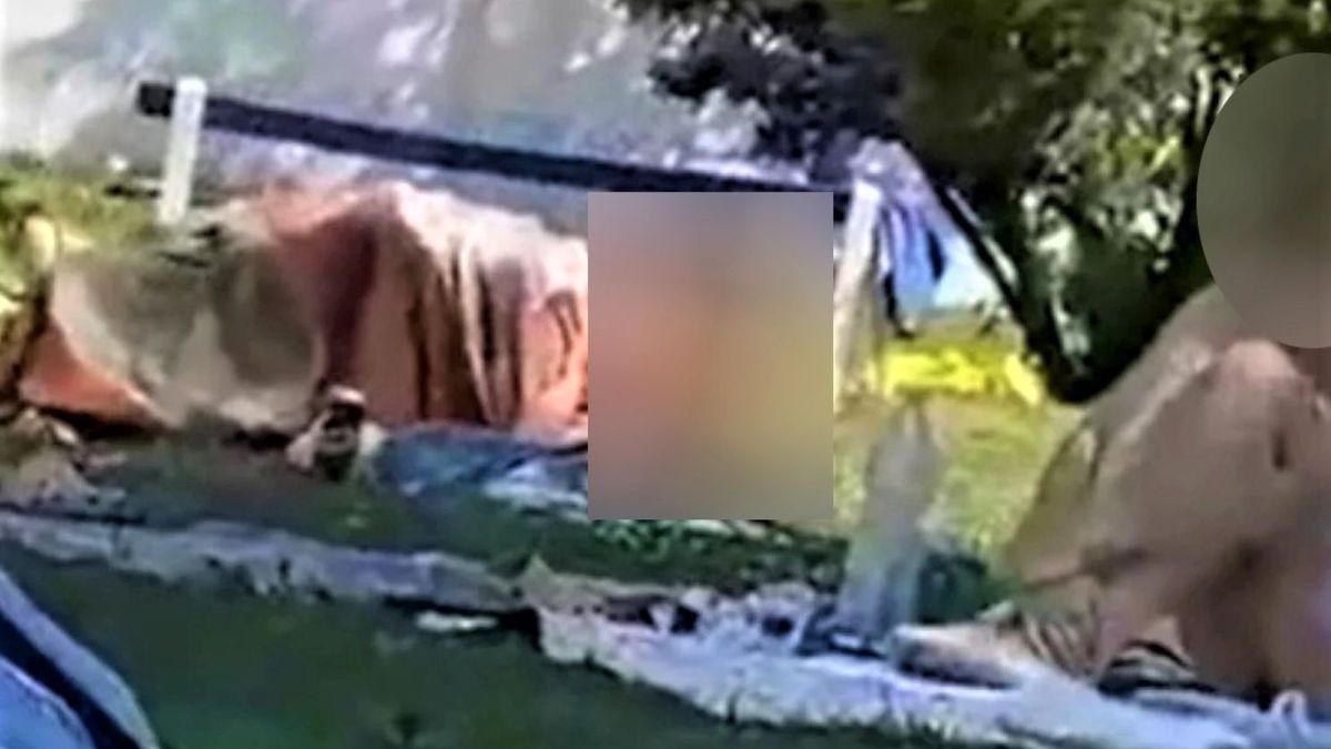 Osoby zachowywały się w sposób kojarzący się z miłosnymi igraszkami 