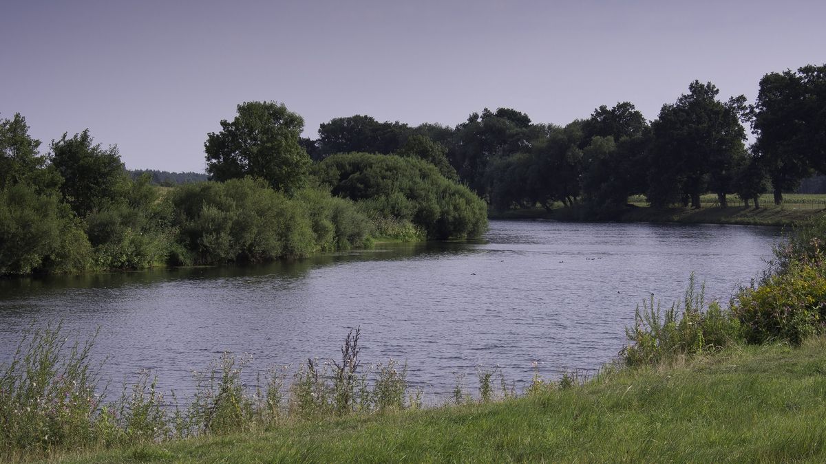 Nowy gatunek komara dotarł do Niemiec.