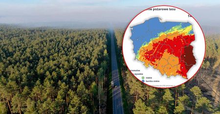 Pożar lasów w woj. lubelskim. 300 strażaków w akcji, jest alert RCB i zakaz wstępu do lasów